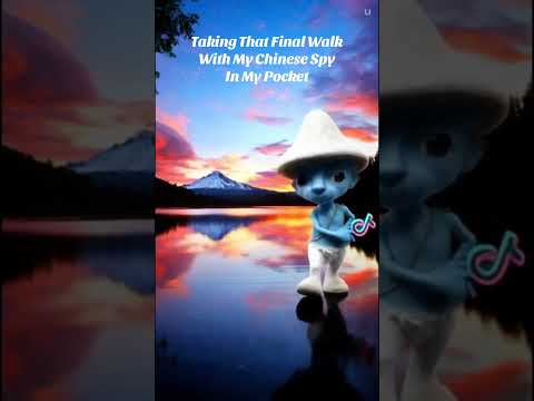 Taking That Final Walk With My Chinese Spy In My Pocket #china #tiktok #ban #usa #smurfcat #sad