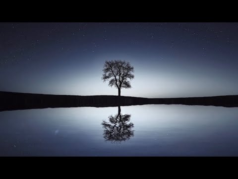 疲れた体と心を癒したい時聴きたい音楽Music to listen to when you want to heal your tired body and mind