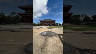 Buddhist Temple #nara #naradeerpark #japan #japanvlog #japantemple