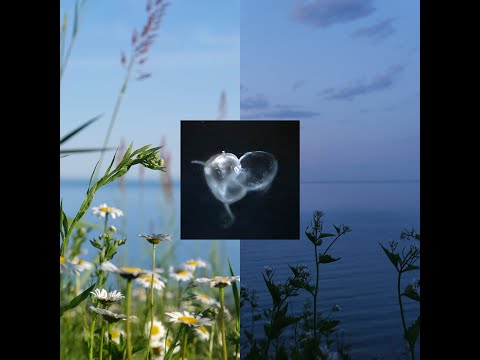 Alexander Panos - Equinox (Prelude) + Equinox