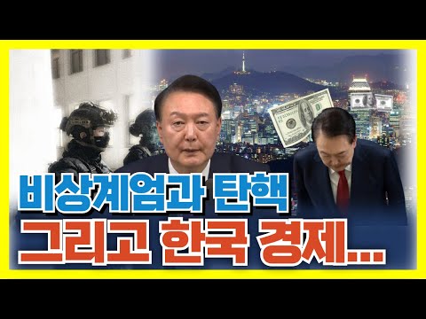 '비상계엄' 한마디에 무너진 '경제' #환율