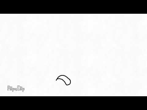 Prueba de animación #1