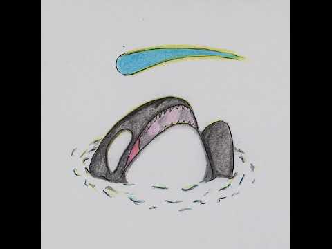 Orcinus Wishis