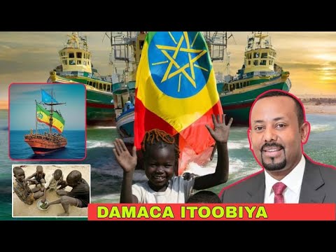 Digniin Halis ah oo Damaca Badda ee Itoobiya laga soo saaray & Sudan oo gaajo awgeed Caws la cunayo
