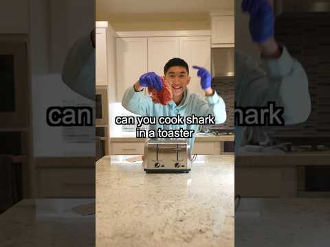Can You Cook Shark in a Toaster? #shorts