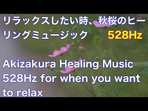 リラックスしたいときの秋桜ヒーリングミュージック 528HzAkizakura Healing Music 528Hz for when you want to relax