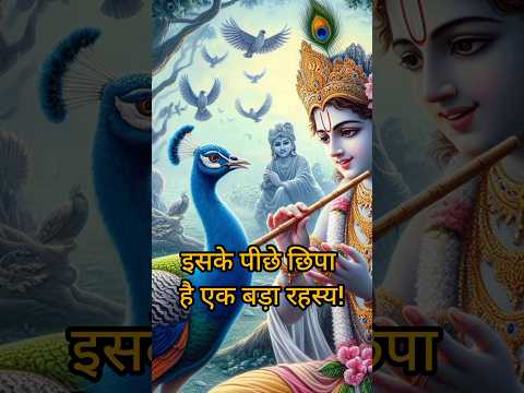 मोर पंख का रहस्य क्या है? | What Is the Secret Behind Krishna’s Peacock Feather? #shorts #krishna