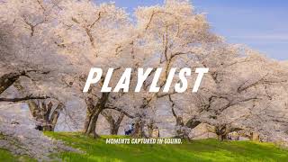 🌸 벚꽃 피는 길, 봄 드라이브에 듣는 감성 팝🚗 | Spring Walk & Drive Playlist