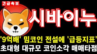 [시바이누] 9억배 밈코인 전설에 '급등지표'. 초대형 대규모 코인소각 매매타점! #시바이누 #시바이누코인 #도지코인 #도지 #베이비도지