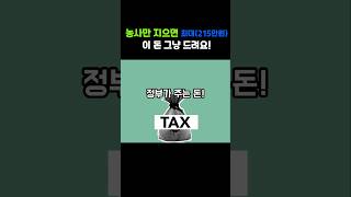 최대 215만원 공익직불금, 누가 받을 수 있나요? #공익직불금#정부지원금#소농직불금#농민지원금