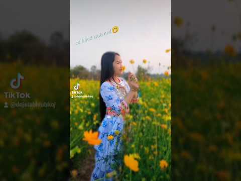 Ca kho kho siab