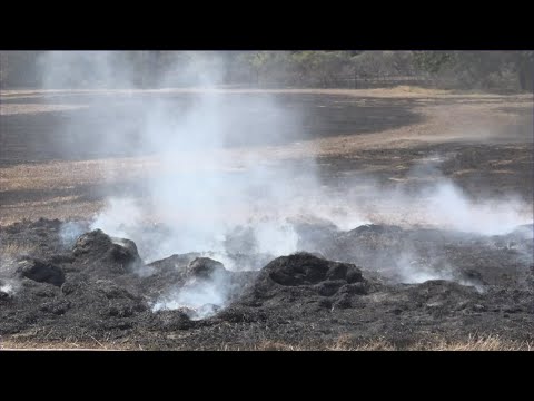 Burn ban text system implemented in Travis County