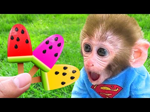 O Macaco Bon Bon Come um Sorvete Arco-Íris Delicioso da Carrinha de Sorvetes e Vai ao Cinema