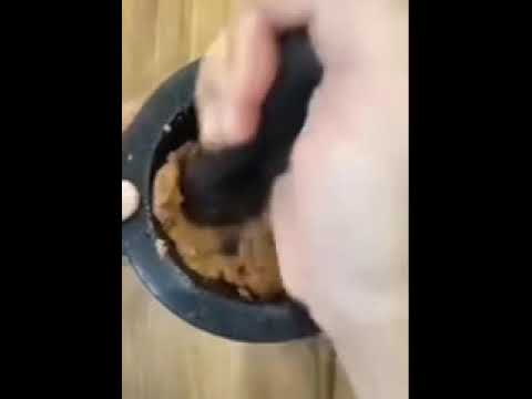 the horror