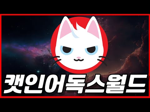 캣인어독스월드 여기까지 올라갑니다