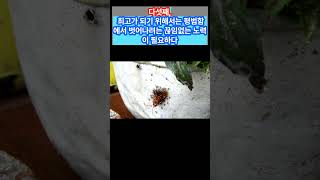 탑 8 명언으로 보는 삶의 지혜와 통찰 #명언 #지혜 #통찰