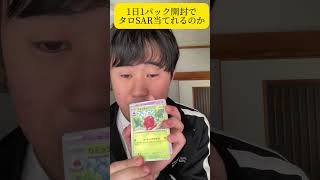 1日1パック開封してタロSAR当てれるのか9日目#ポケカ #開封動画 #youtubeshorts