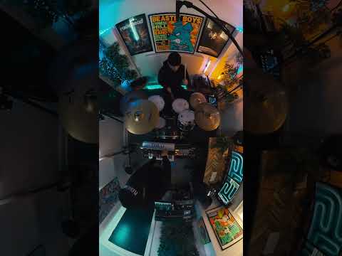 Moog | Distorting the Rules with ROMES | #Moog #ROMES