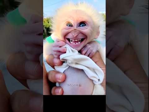 Baby monkey that feels so good to be outside 🙈