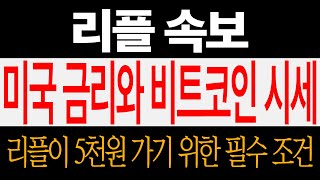 리플 XRP 속보, 美 금리와 비트코인 시세! 리플이 떡상하기 위한 필수조건은? #리플코인 #리플 #코인