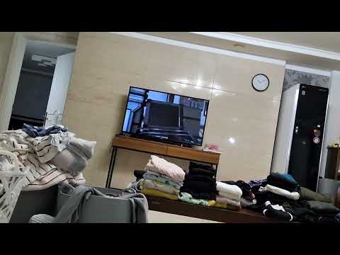 당신이 박사 토일렛을 싫어하게 될 영상