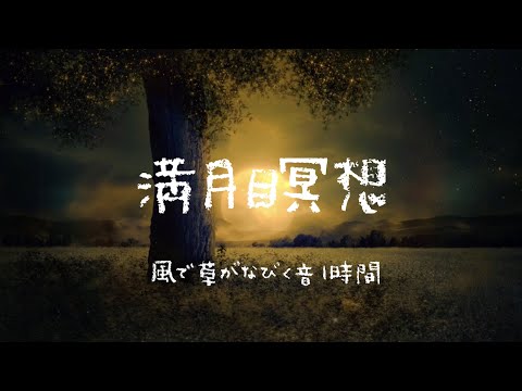 満月瞑想〜風で草がなびく音〜