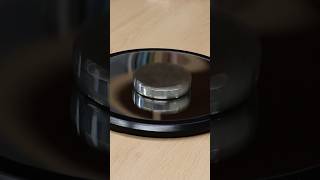 You spin me right round - Euler’s disc