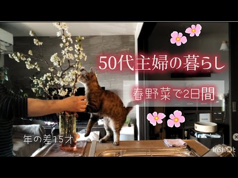 【年の差夫婦+猫】春野菜で我が家も春/花より団子･･道の駅/信玄公･･紫吹淳さん