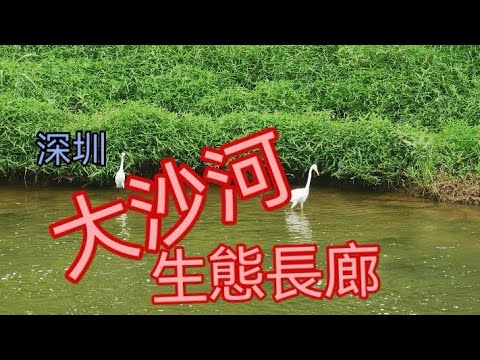 大沙河生態長廊