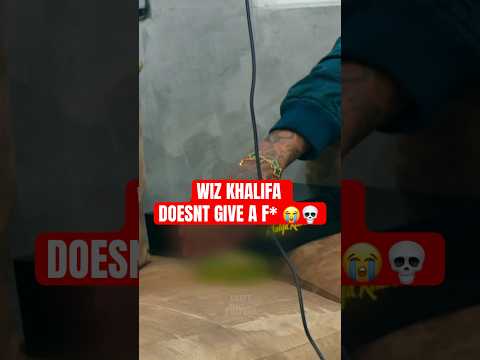 No F**** Given 🤣