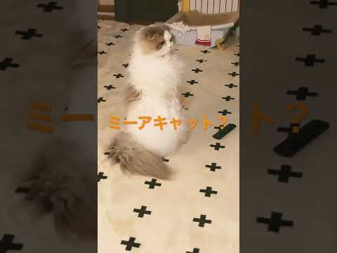 どしたの？