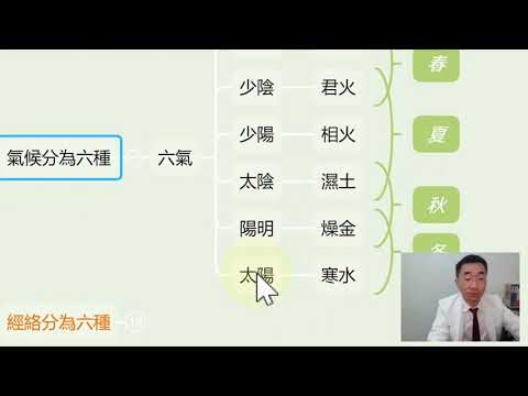 0基礎0天份中醫培訓班，試聽內容：24節氣由來、經方中醫六種疾病分類｜wellnessX-Ray中醫X光