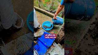 #somatwinsvlog #fish #realityofmylife