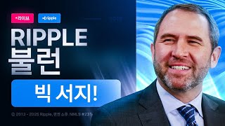 리플(XRP): CEO 브래드 갈링하우스 리플 불런 확정! XRP 가격 예측!