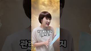 북한 요정과의 첫 만남✨ [날씨요정 에피소드 26]