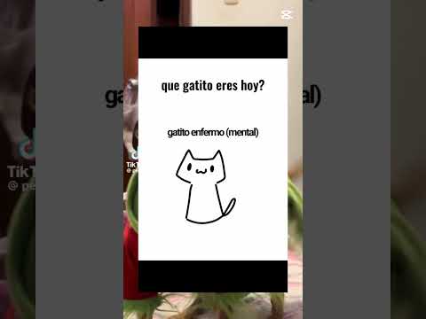 Yo soy el gatito en crisis 😢 #which #funny #memes #meme #cat #gatos #apoyo #suscribete #shorts