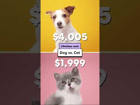 How much does it cost to own a pet?