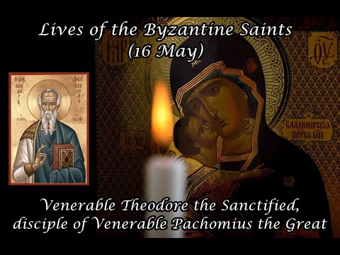 Byzantine Saints: Venerable Theodore the Sanctified, disciple of Ven. Pachomius the Great (16 may)