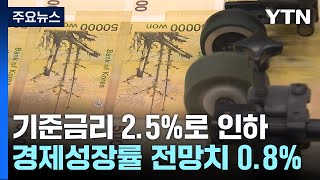 한은, 기준금리 2.5%로 인하..."올해 성장률 전망치 0.8%" / YTN