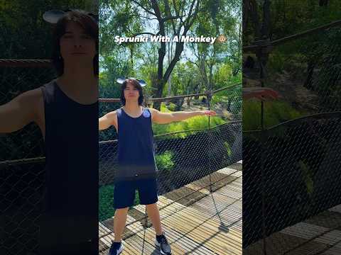 Sprunki Song With A MONKEY 🐵