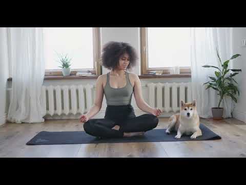 Meditation and Relaxing Music  For Stress, Healing and Wellness