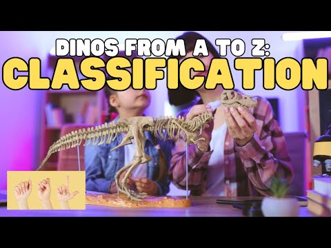 ASL Dinos from A to Z: Classification