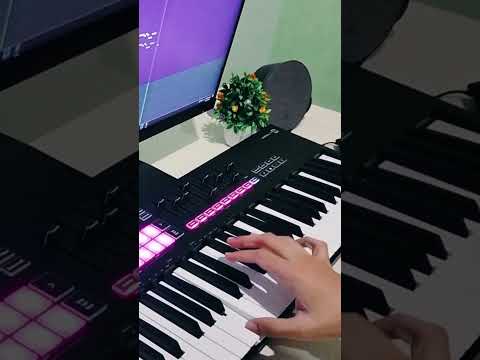 Eminem - The Real Slim Shady (cover)