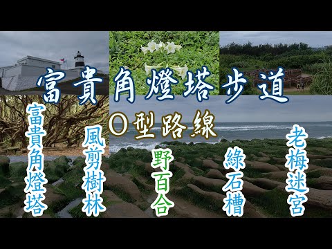 浪漫野百合已悄悄綻放中！魔法森林的風剪樹林，童趣的老梅迷宮，抹茶地毯綠石槽，老梅彩繪社區，台灣本島最北的富貴角燈塔。富貴角燈塔步道O型路線。