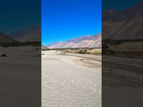 Wandering the Windswept Sands of Ladakh's Hunder Valley #ladakh