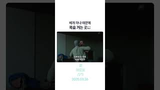 베개 하나에 목숨 거는 디스토피아;; #끝새로운시작