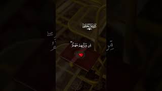 تلاوه خاشعه ماهر المعيقلي #قران #ماهرالمعيقلي  #quran #قران_كريم #تلاوة_خاشعة