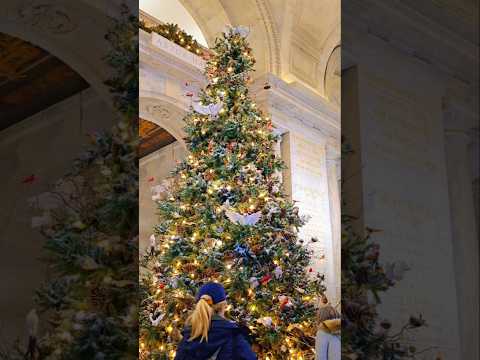 Add it to the list #nypl #nyc #christmastime #christmasactivities #fyp #travel