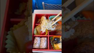 train vlog 🚆✨ #japan #bullettrain #trainvlog #osaka #tokyo #travel #bento #japanesefood #foodvlog
