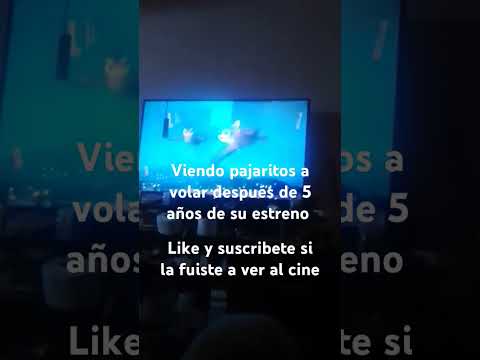 17 de mayo de 2024
